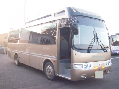 Пригородный автобус Hyundai Aerotown Long