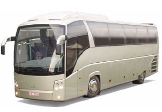 Автобус серии 251 – туристический автобус
